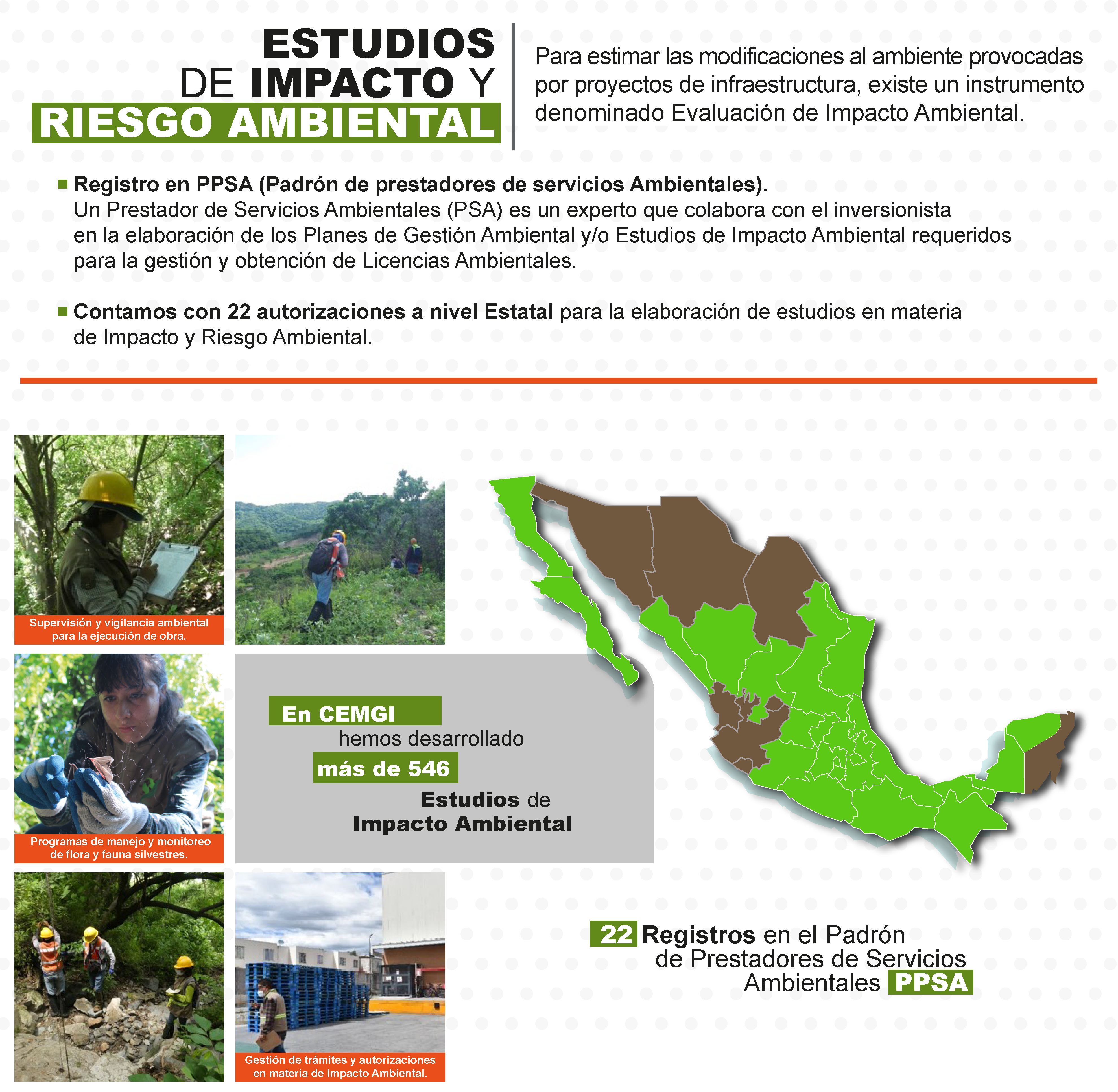 ESTUDIOS DE IMPACTO AMBIENTAL